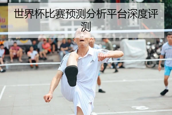 世界杯比赛预测分析平台深度评测