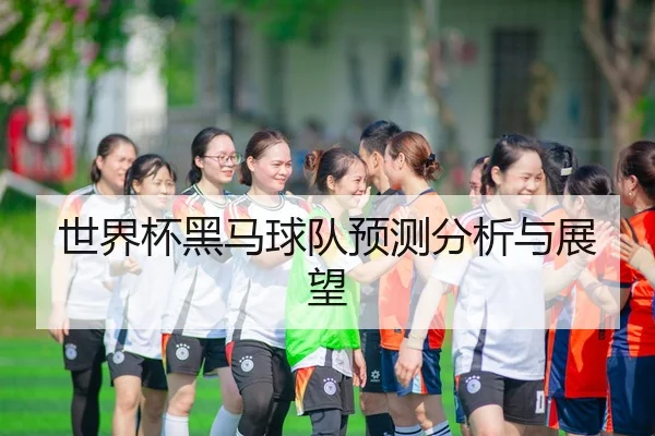 世界杯黑马球队预测分析与展望
