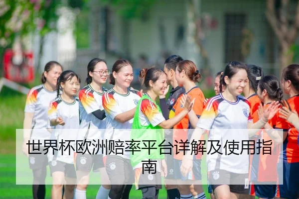 世界杯欧洲赔率平台详解及使用指南