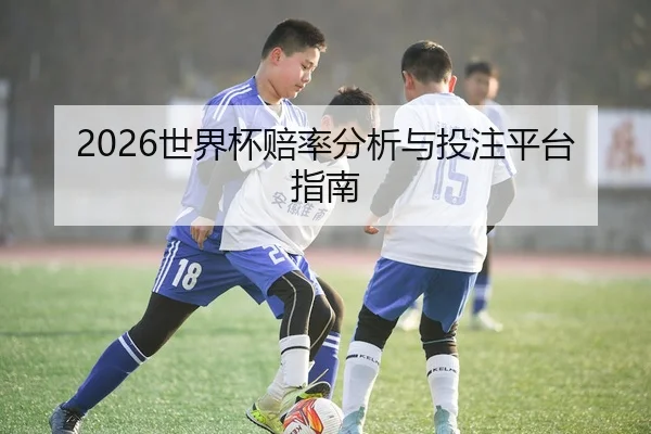 2026世界杯赔率分析与投注平台指南