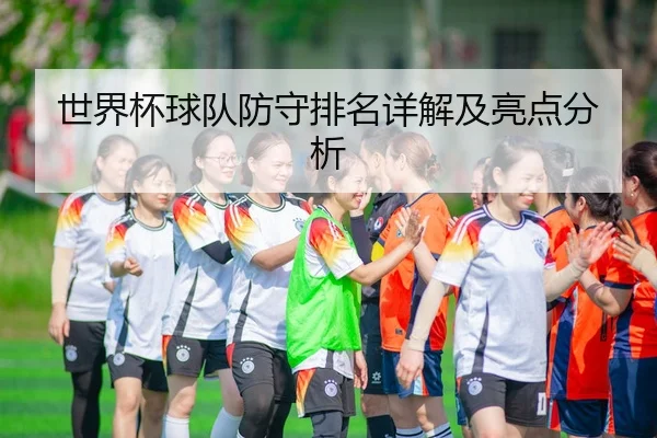 世界杯球队防守排名详解及亮点分析
