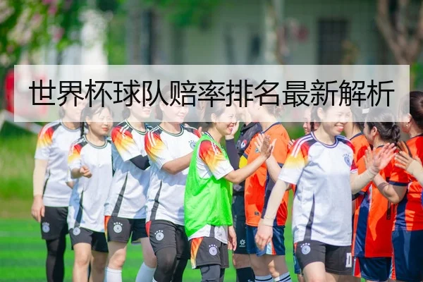 世界杯球队赔率排名最新解析