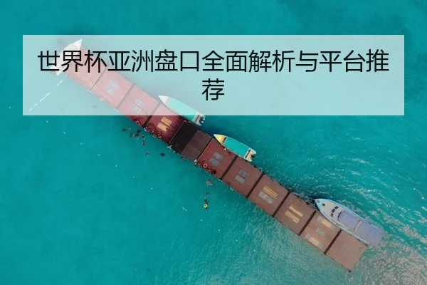 世界杯亚洲盘口全面解析与平台推荐